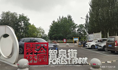 森林公园第 1 张图片