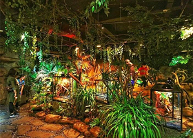 噜噜世界(麦凯乐青岛总店)