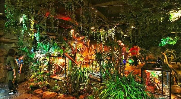 噜噜世界(麦凯乐青岛总店)