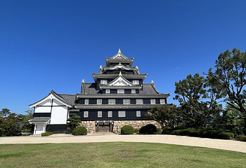 冈山城第 8 张图片