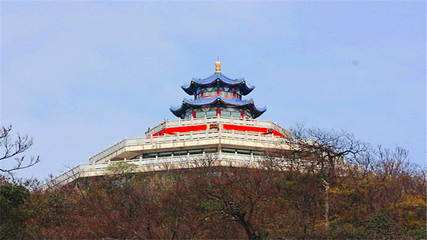 天门山国家森林公园第 249 张图片