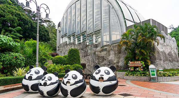 石排湾郊野公园