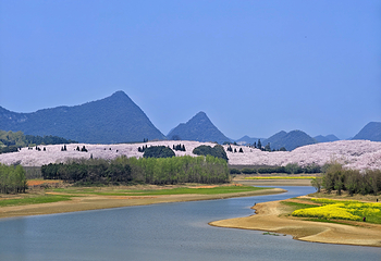 平坝农场第 4 张图片