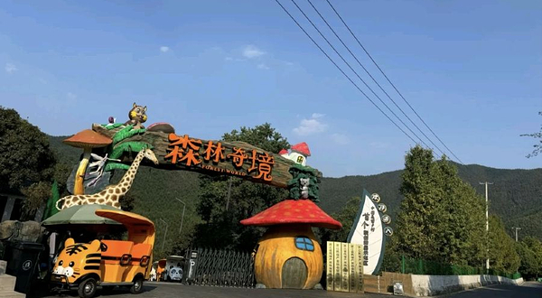安吉森林奇境乐园