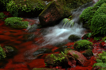 四面山第 36 张图片