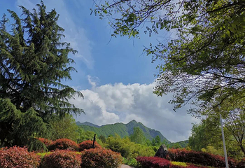 秦岭国家植物园第 8 张图片