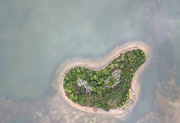 新蒲湿地公园第 34 张图片