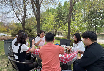 沈阳玫瑰小镇露营主题公园第 15 张图片