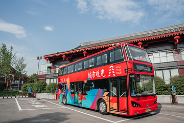 西安城市观光车第 13 张图片