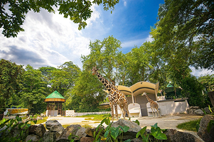 马来西亚国家动物园