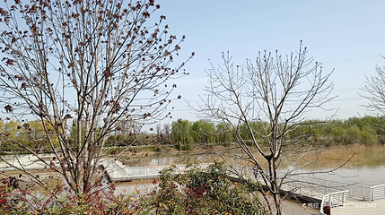 沋河湿地公园第 3 张图片
