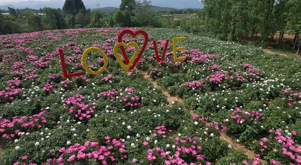 中国芍药博览园