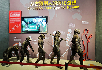 澄江化石地自然博物馆第 12 张图片