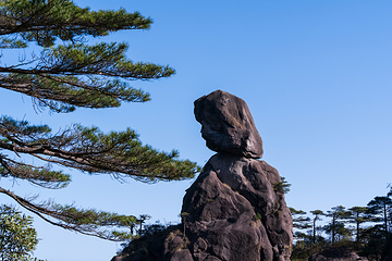 三清山风景区第 320 张图片