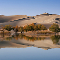 塔克拉玛干沙漠