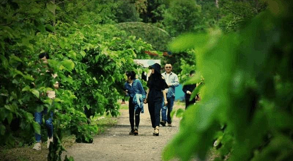 南溪湿地生态园