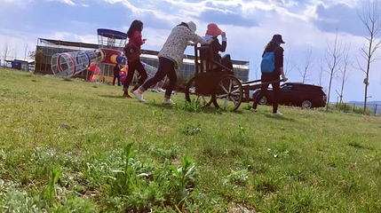 五十一号农场第 1 张图片