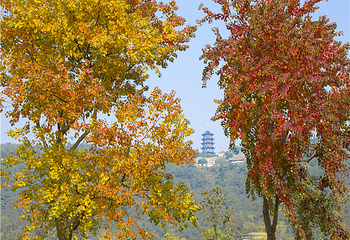 香山景区第 24 张图片