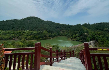 白江湖森林公园第 13 张图片