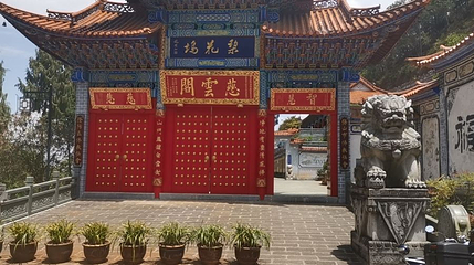 梨花坞第 1 张图片