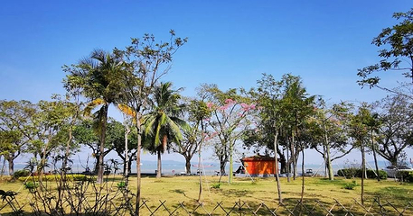 大角山公园第 1 张图片