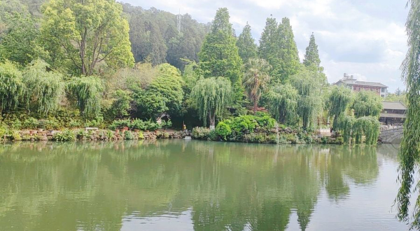 云南丰泽园植物园