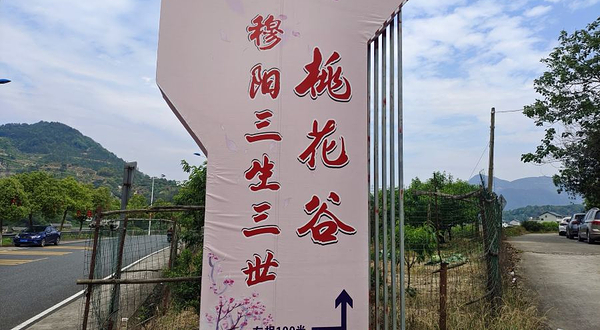 三生三世桃花谷