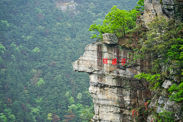 庐山风景名胜区第 159 张图片