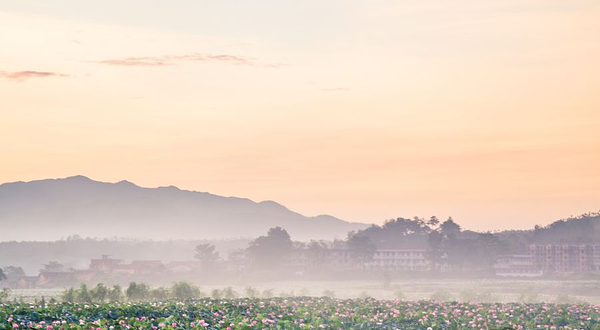 中国莲花第一村