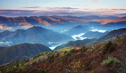 神农顶风景区第 16 张图片