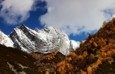 四姑娘山双桥沟景区第 159 张图片