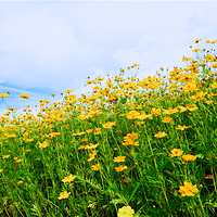 三千漓中国山水人文度假区