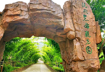 云顶草上世界第 39 张图片