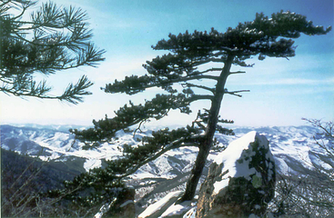 城子山风景区第 15 张图片