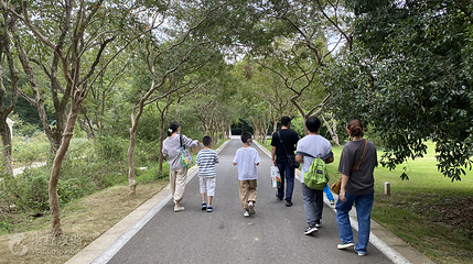 炮炮兵探险学院(情侣园店)第 4 张图片
