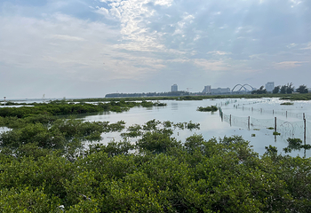 北海银滩景区第 125 张图片