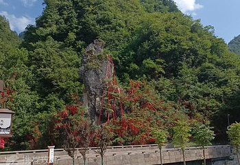 大巴山国家级自然保护区第 4 张图片