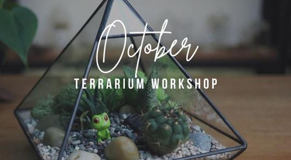 新加坡J2 Terrarium植物盆景工作室