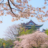 晴川阁