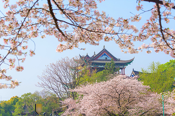 晴川阁第 1 张图片