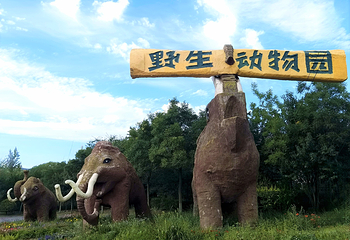 大青山野生动物园第 8 张图片