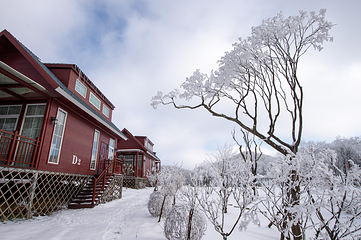 襄阳横冲国际滑雪场第 8 张图片