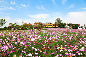 木兰花乡景区(木兰不夜城)