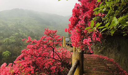 木兰云雾山第 57 张图片