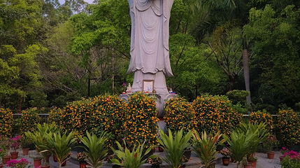 石芽岭公园第 1 张图片
