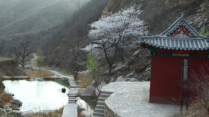 秋山风景区第 2 张图片