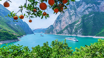 新高湖游轮(滚装客轮码头)