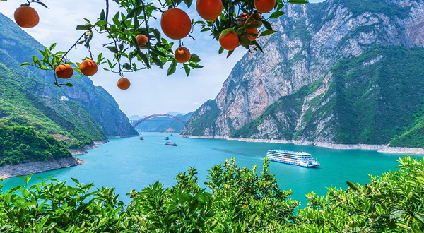 新高湖游轮(滚装客轮码头)