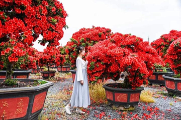 赛石·花朝园第 4 张图片