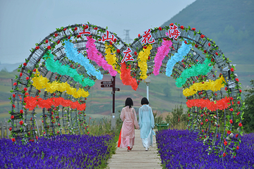 上山庄花海第 19 张图片